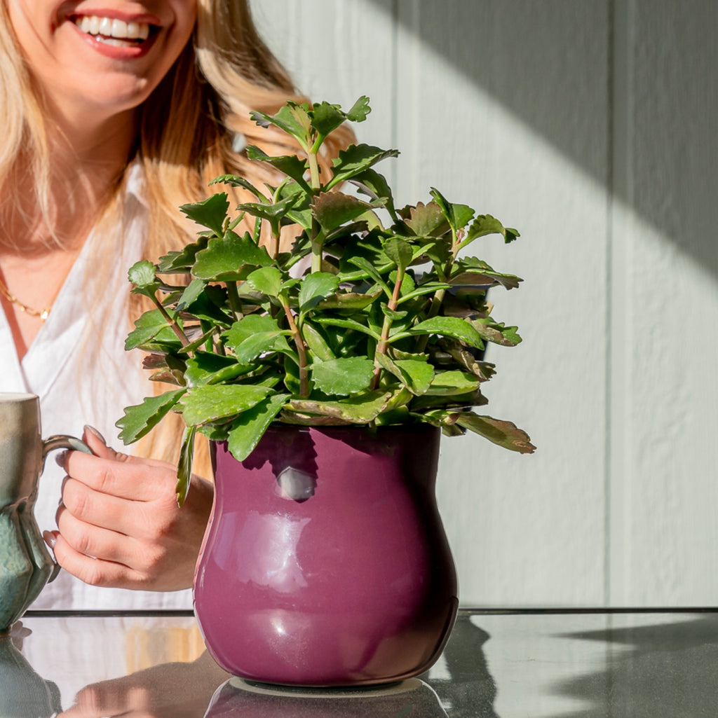 Ceramic Plant Pot with Rubber Liner - Violet Purple | Indoor Plant Pot | Wiccan Center