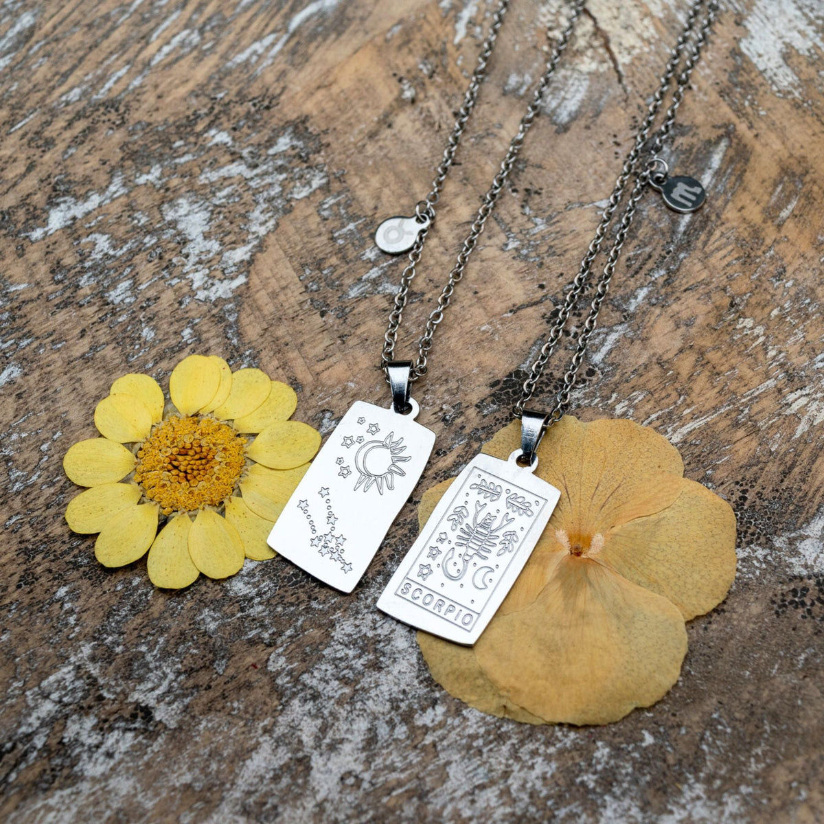 Zodiac Tarot Card & Astrology Necklace