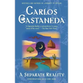 Separate Reality - Paperback | Books | Wiccan Center