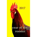 Year of the Rooster -: The rooster is the tenth in the 12-year cycle of Chinese zodiac. - Paperback | Books | Wiccan Center