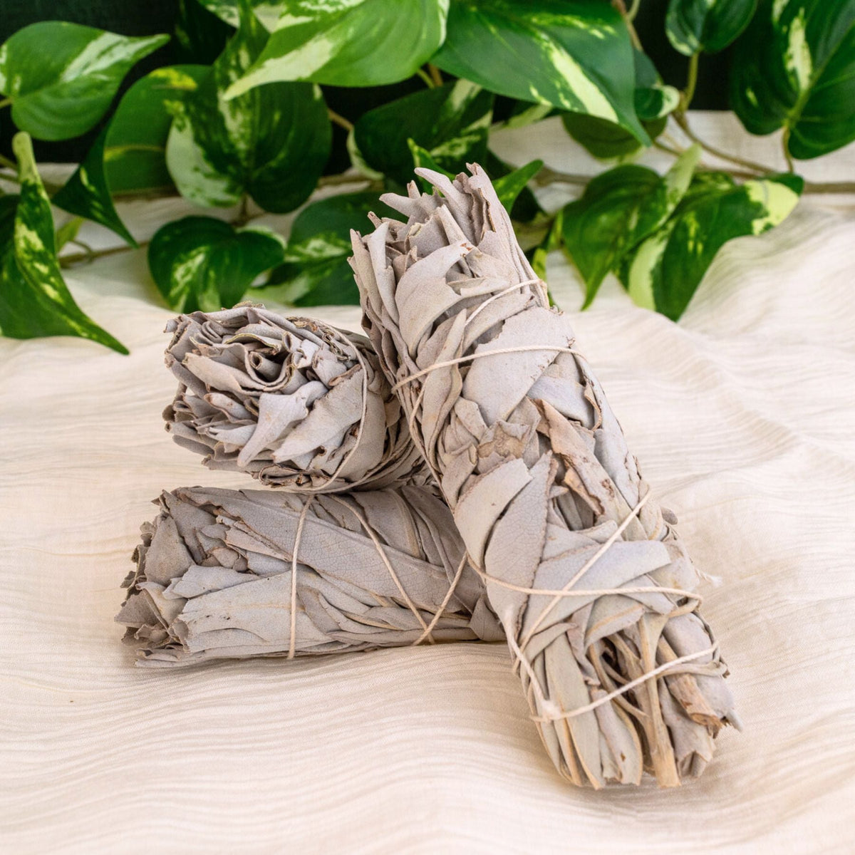 White Sage Smudge Stick | Smudging | Wiccan Center