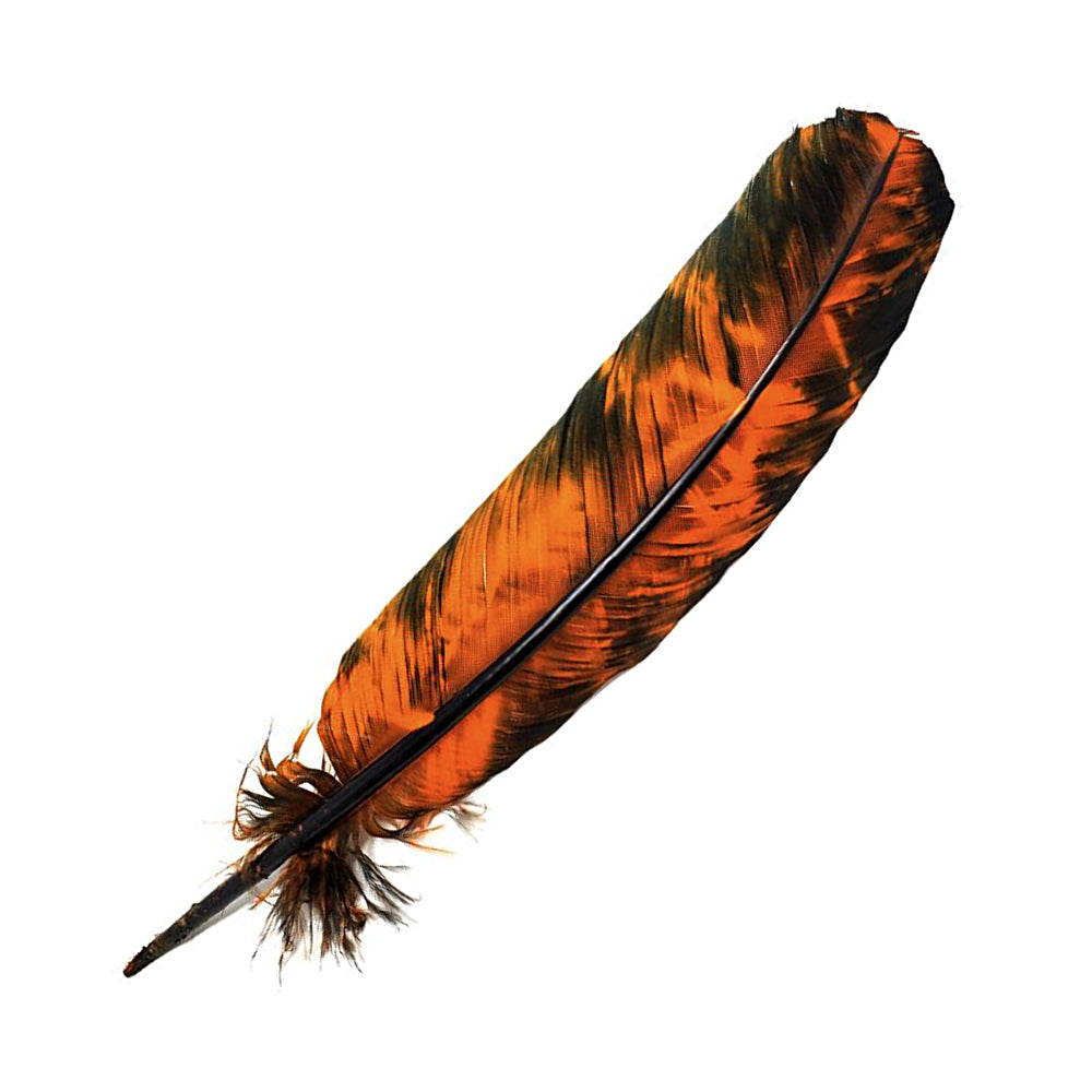 Smokey Orange Feather 10-12" | Feathers | Wiccan Center