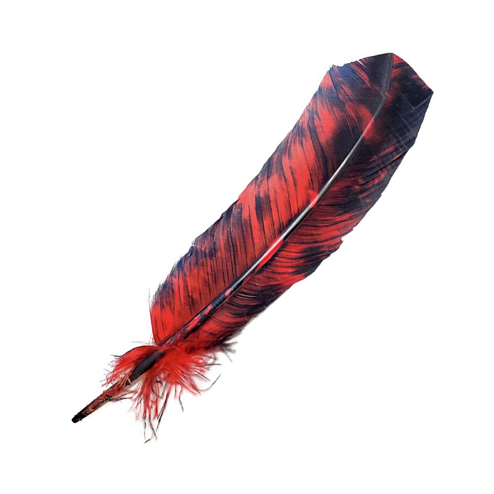 Smokey Red Feather 10-12" | Feathers | Wiccan Center
