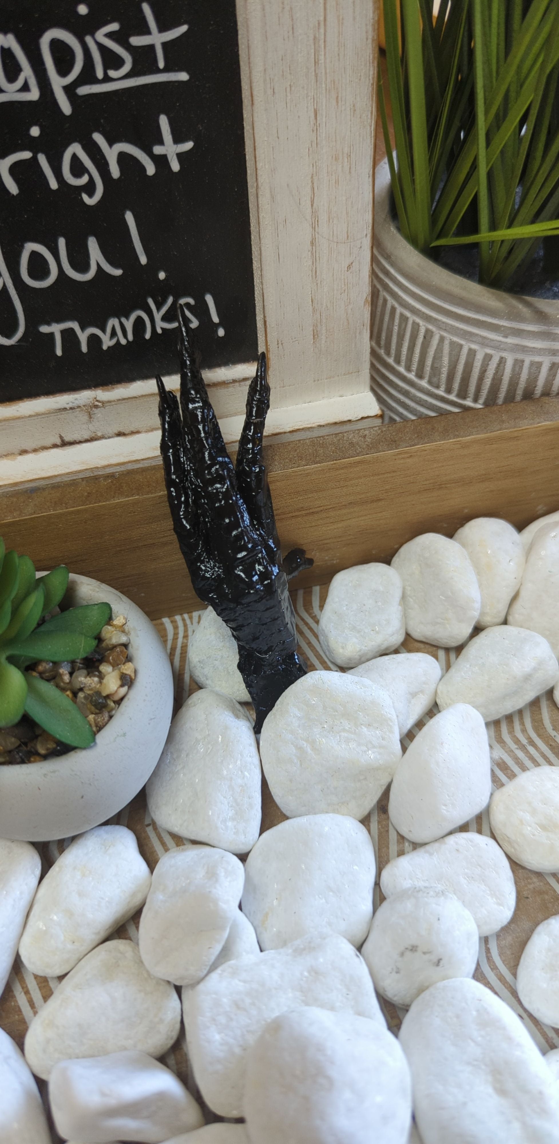 Spiritually Charmed Protection Chicken Foot | Charmed curio | Wiccan Center
