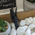 Spiritually Charmed Protection Chicken Foot | Charmed curio | Wiccan Center