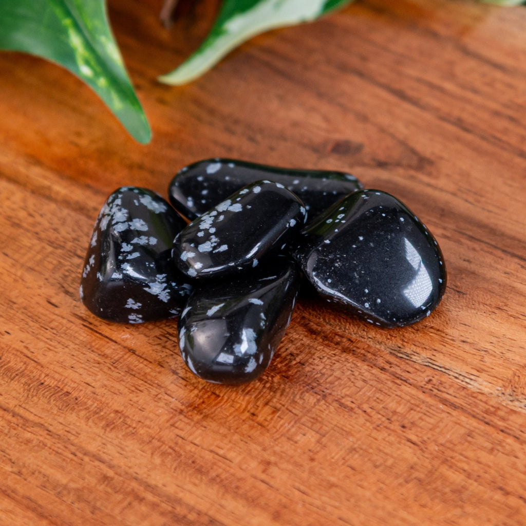 Snowflake Obsidian Tumbled 1lb | | Wiccan Center