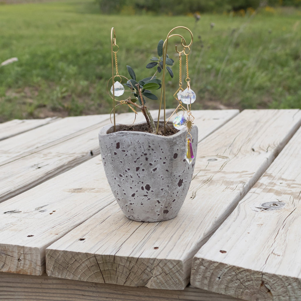 Sun Catcher Plant Decor | | Wiccan Center