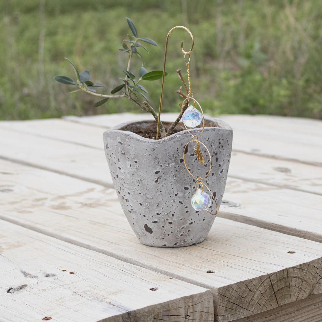 Sun Catcher Plant Decor | | Wiccan Center