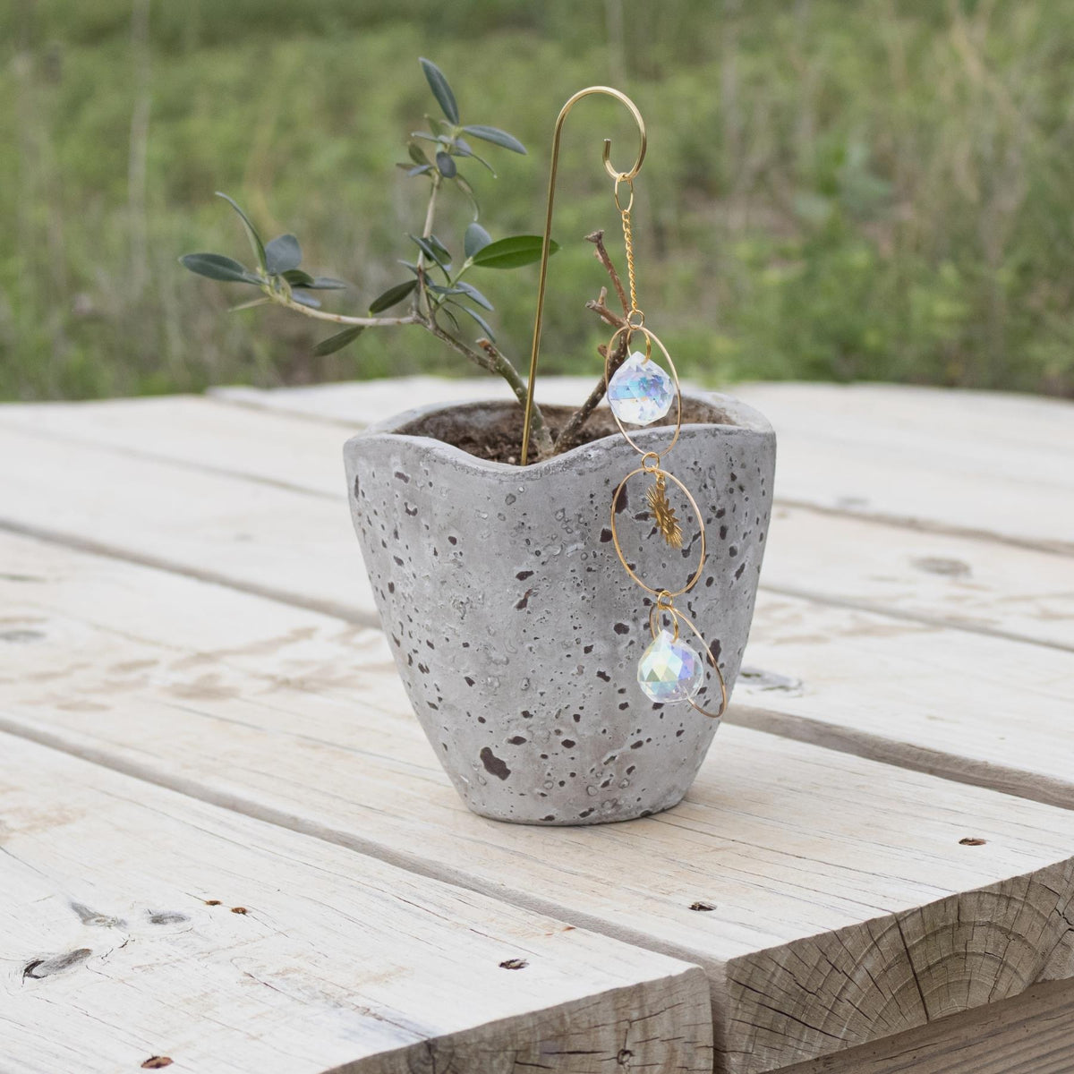 Sun Catcher Plant Decor | | Wiccan Center