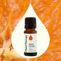 Plant Therapy Sweet Orange Essential Oil 10 Ml