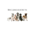 Work is gonna suck without you.: Perfect goodbye gift for coworker that is leaving / going away gift for your co worker, boss, manager, employee. - Paperback | Books | Wiccan Center