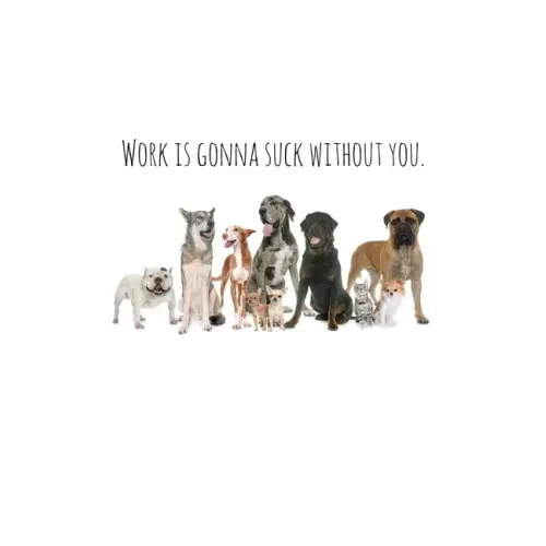 Work is gonna suck without you.: Perfect goodbye gift for coworker that is leaving / going away gift for your co worker, boss, manager, employee. - Paperback | Books | Wiccan Center