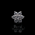Aurielle - 16G Internally Threaded End | Body Jewelry | Wiccan Center