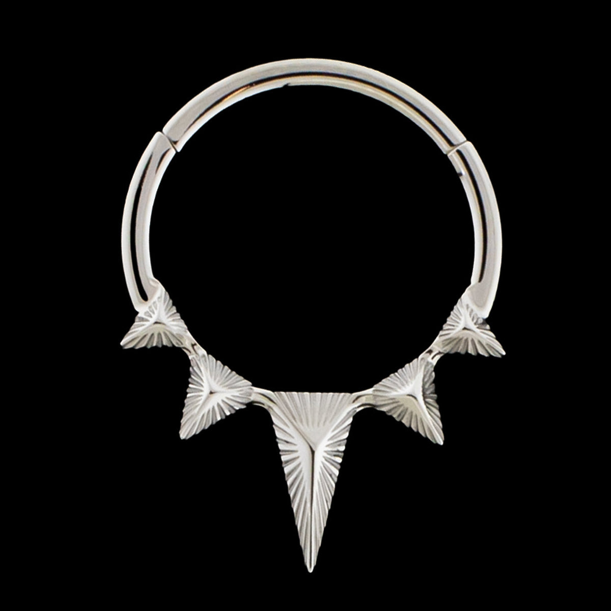 Essex - Titanium Hinged Ring | Hinged Segment Ring | Wiccan Center