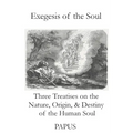 Exegesis of the Soul: Three Treatises on the Nature, Origin, & Destiny of the Human Soul - Paperback | Books | Wiccan Center