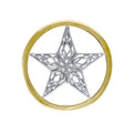 A Timeless Magick in Celtic Knotwork ~ A Five-Pointed Star in 14K Gold Accent Pendant TPV3459
