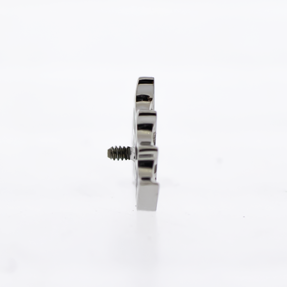 16G/18G Steel Internally Threaded End- Spider Web | Body Jewelry | Wiccan Center
