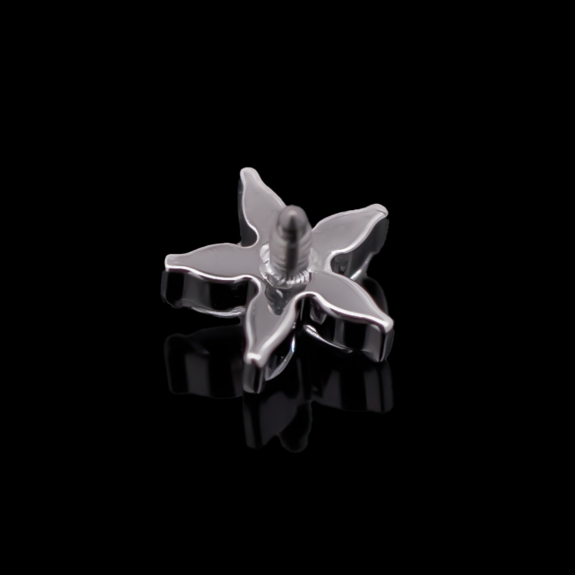 Aura - 16G Internally Threaded End | Body Jewelry | Wiccan Center
