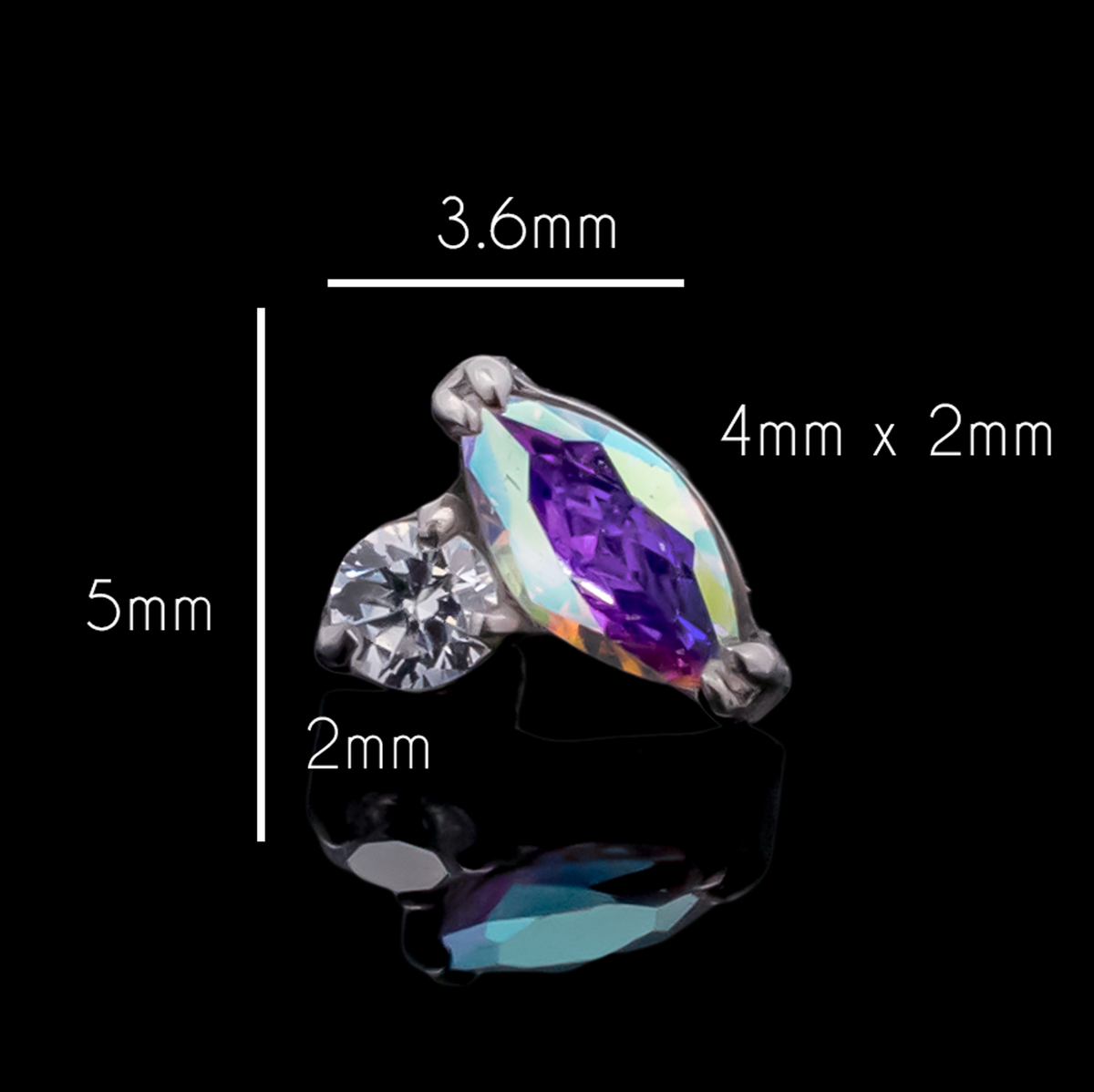 Laurent - 16G Internally Threaded End | Body Jewelry | Wiccan Center