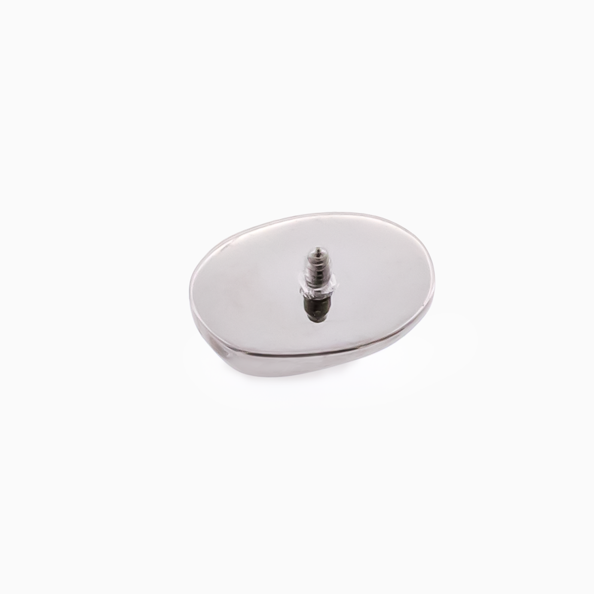 Steel Internally Threaded End - Sand Dollar 16G | Body Jewelry | Wiccan Center