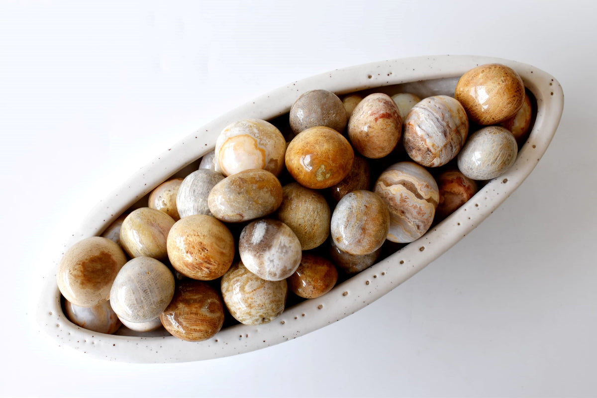 Fossil Coral Tumbled crystals (Grounding and longevity) | Tumbled Stones & Chips | Wiccan Center