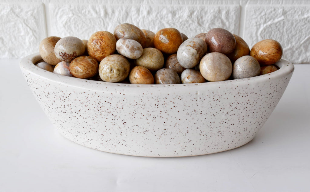 Fossil Coral Tumbled crystals (Grounding and longevity) | Tumbled Stones & Chips | Wiccan Center