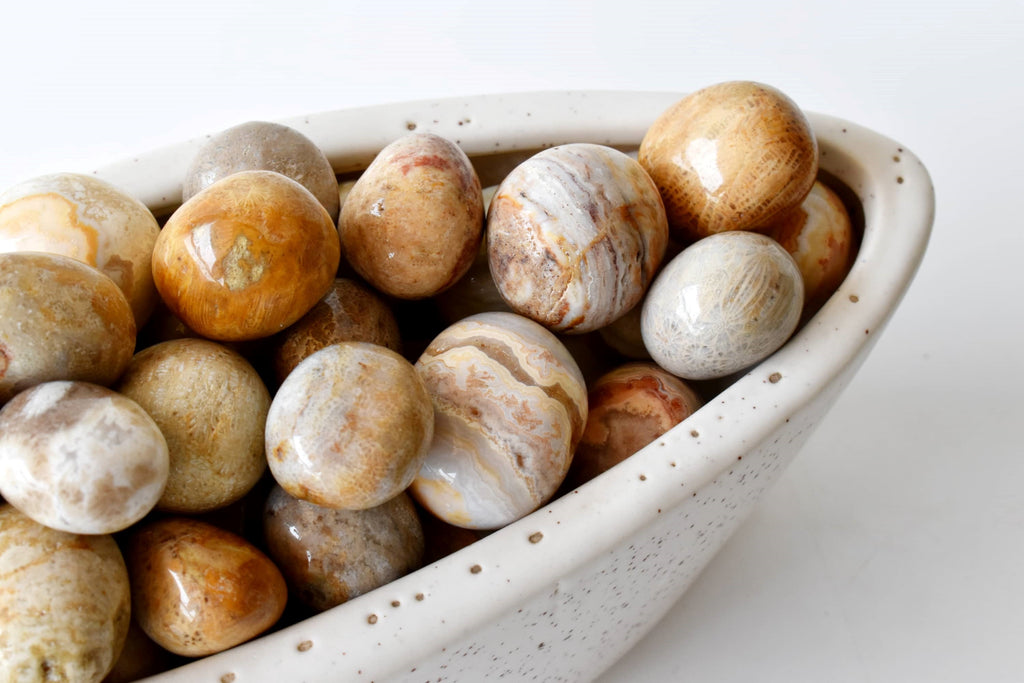 Fossil Coral Tumbled crystals (Grounding and longevity) | Tumbled Stones & Chips | Wiccan Center