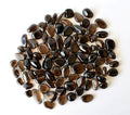 Dark Smokey Quartz Tumbled Crystals (Luck And Good Fortune and Grounding) | Tumbled Stones & Chips | Wiccan Center