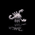 Lucian - Threadless End | Body Jewelry | Wiccan Center