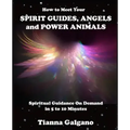 How To Meet Your SPIRIT GUIDES, ANGELS and POWER ANIMALS: Spiritual Guidance On Demand in 5 to 10 Minutes, a Practical Guide - Paperback | Books | Wiccan Center