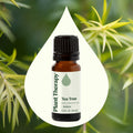 Plant Therapy Tea Tree Essential Oil 10 Ml
