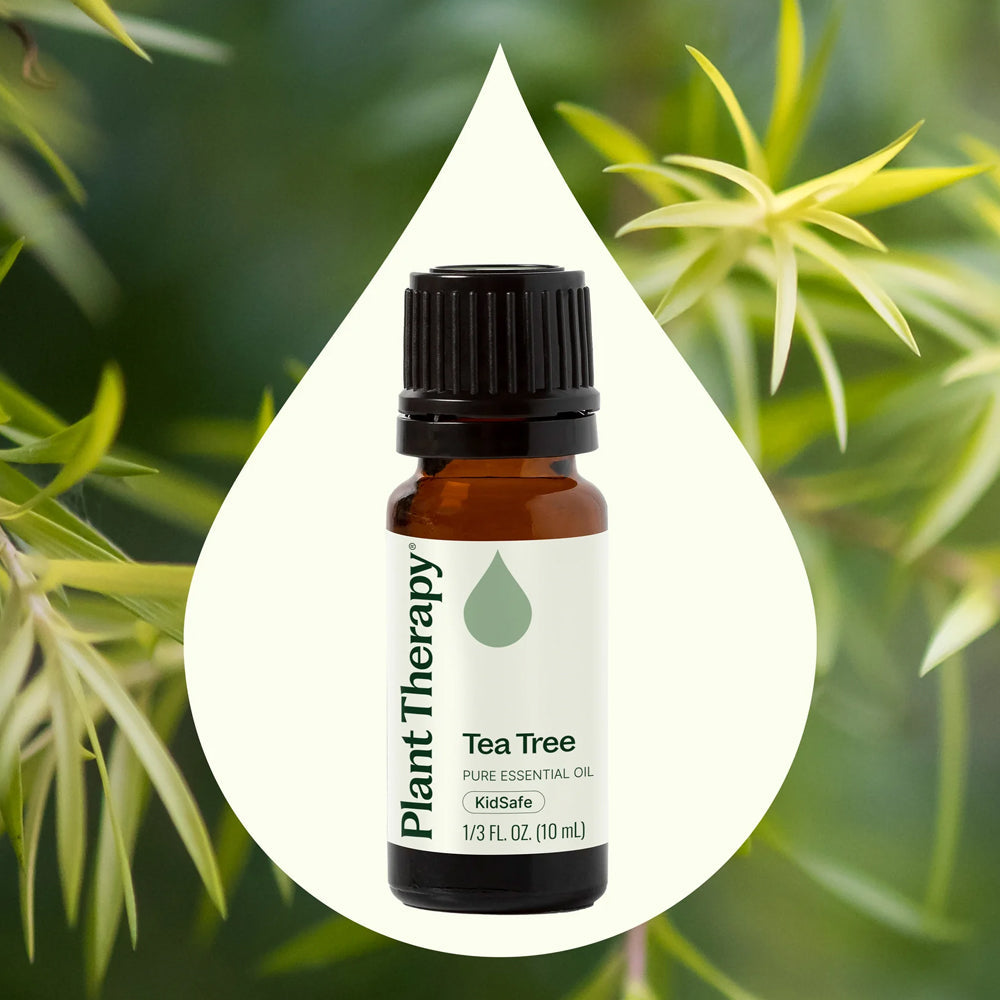 Plant Therapy Tea Tree Essential Oil 10 Ml