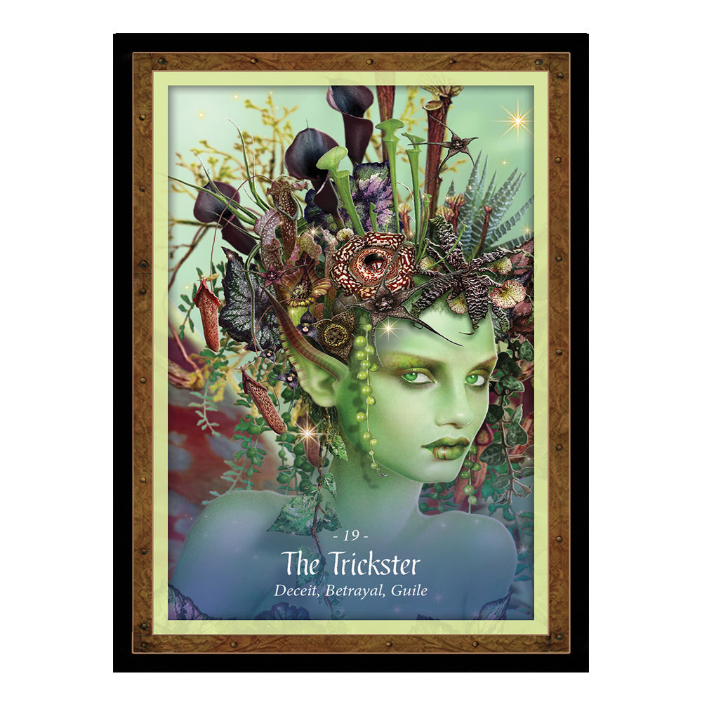 The Faery Forest: An Oracle of the Wild Green World | Tarot Cards | Wiccan Center