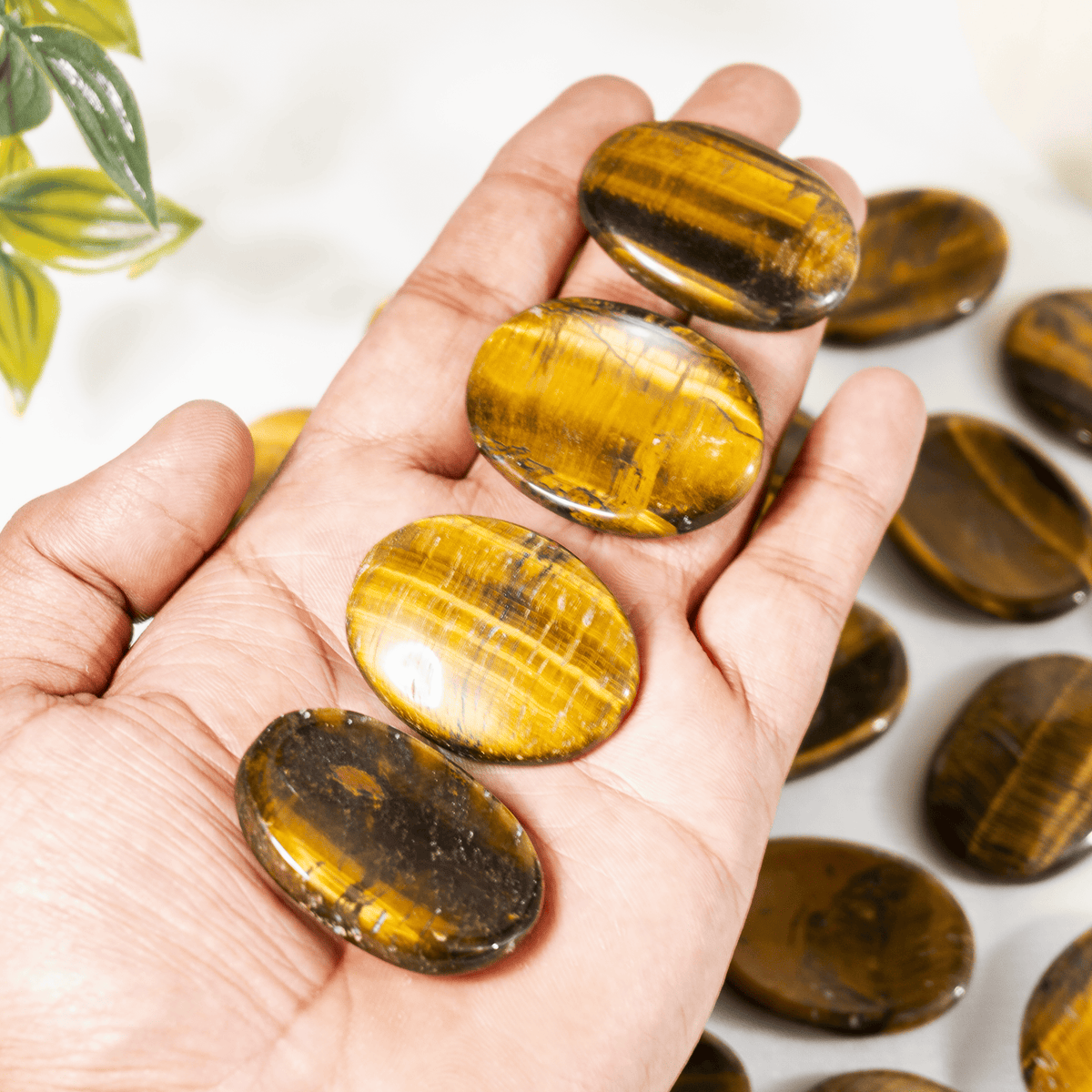 Tiger Eye Pocket Stones (Longevity & Protection)