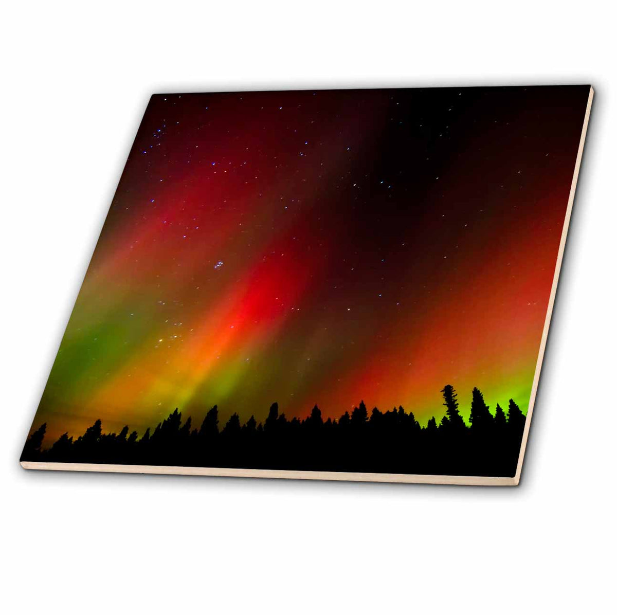 3dRose Canada, Manitoba, Birds Hill Provincial Park. Aurora Borealis, Trees. - Tiles (ct_329749)