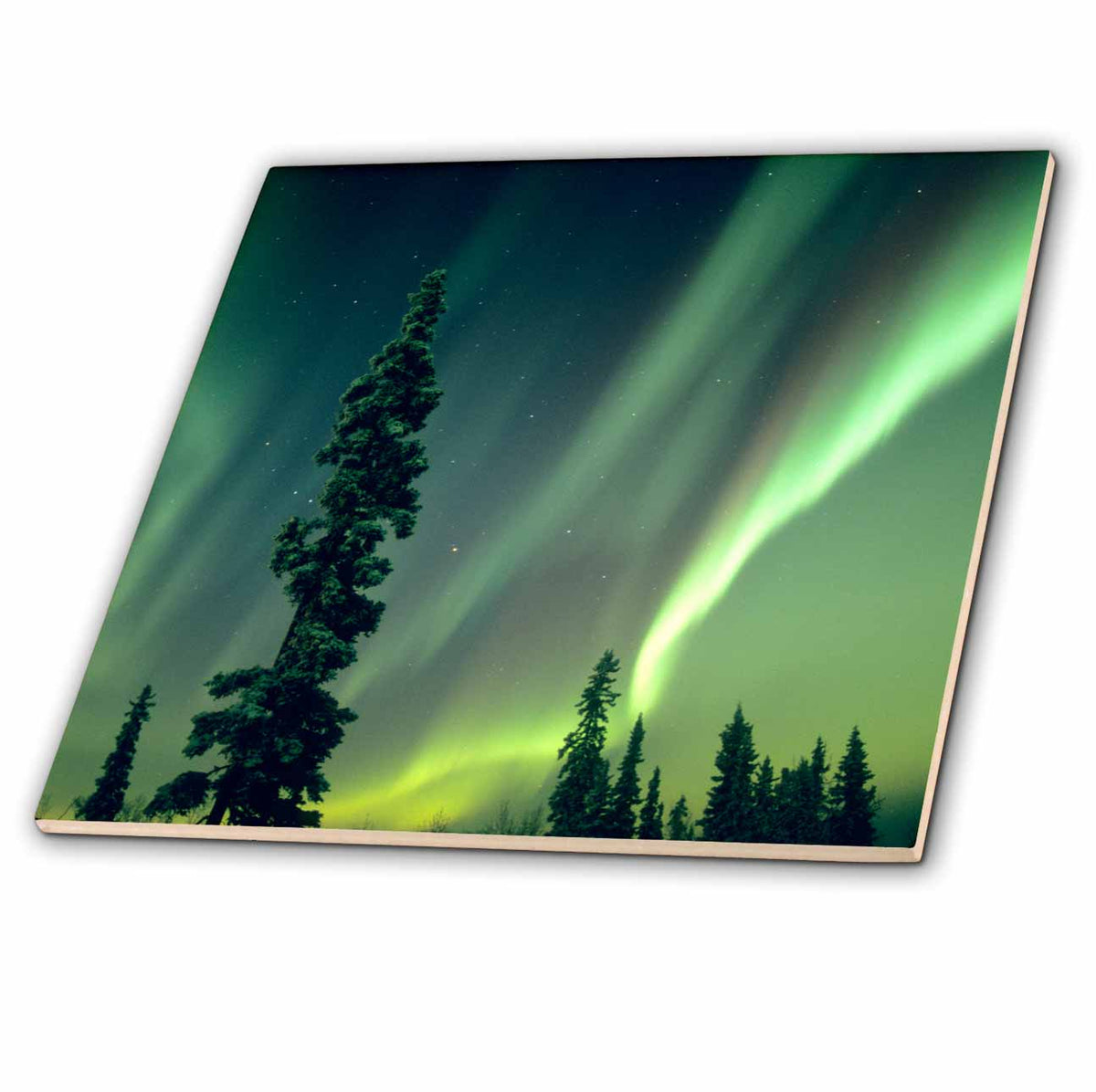 3dRose Danita Delimont - Northern Lights - USA, Fairbanks, Aurora Borealis, Northern Lights - US02 KSC0031 - Kevin Schafer - Tiles (ct_87577)