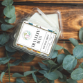 Travelin' Man Wax Melts | Wax Melts | Wiccan Center