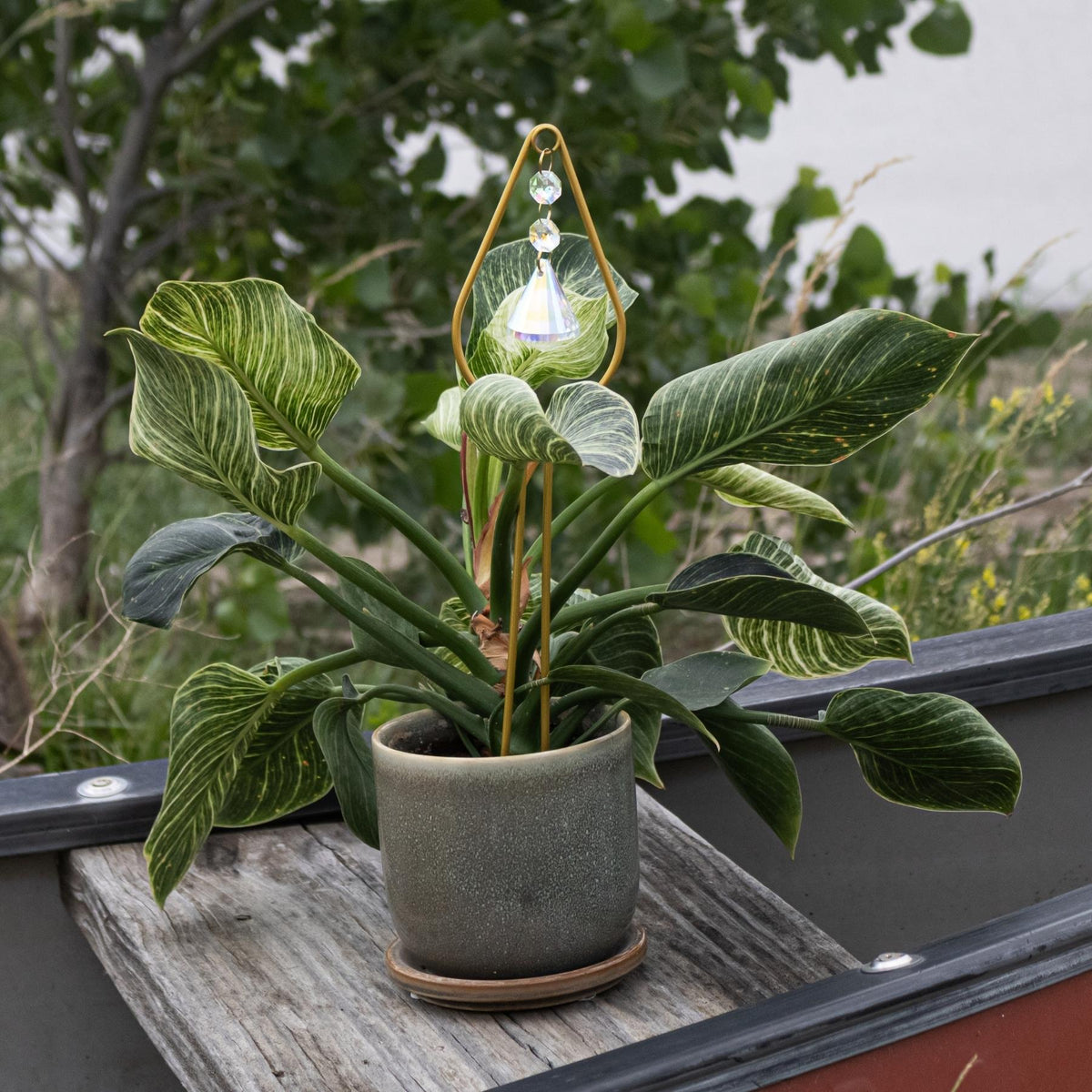 Gold Plant Trellis with Crystal | | Wiccan Center