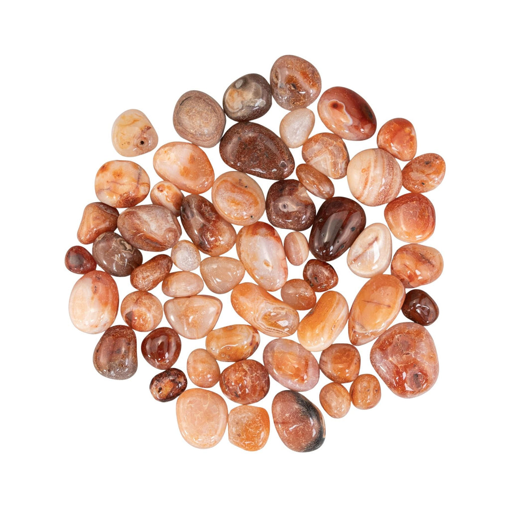 Banded Carnelian Tumbled 1lb | Religious Items | Wiccan Center