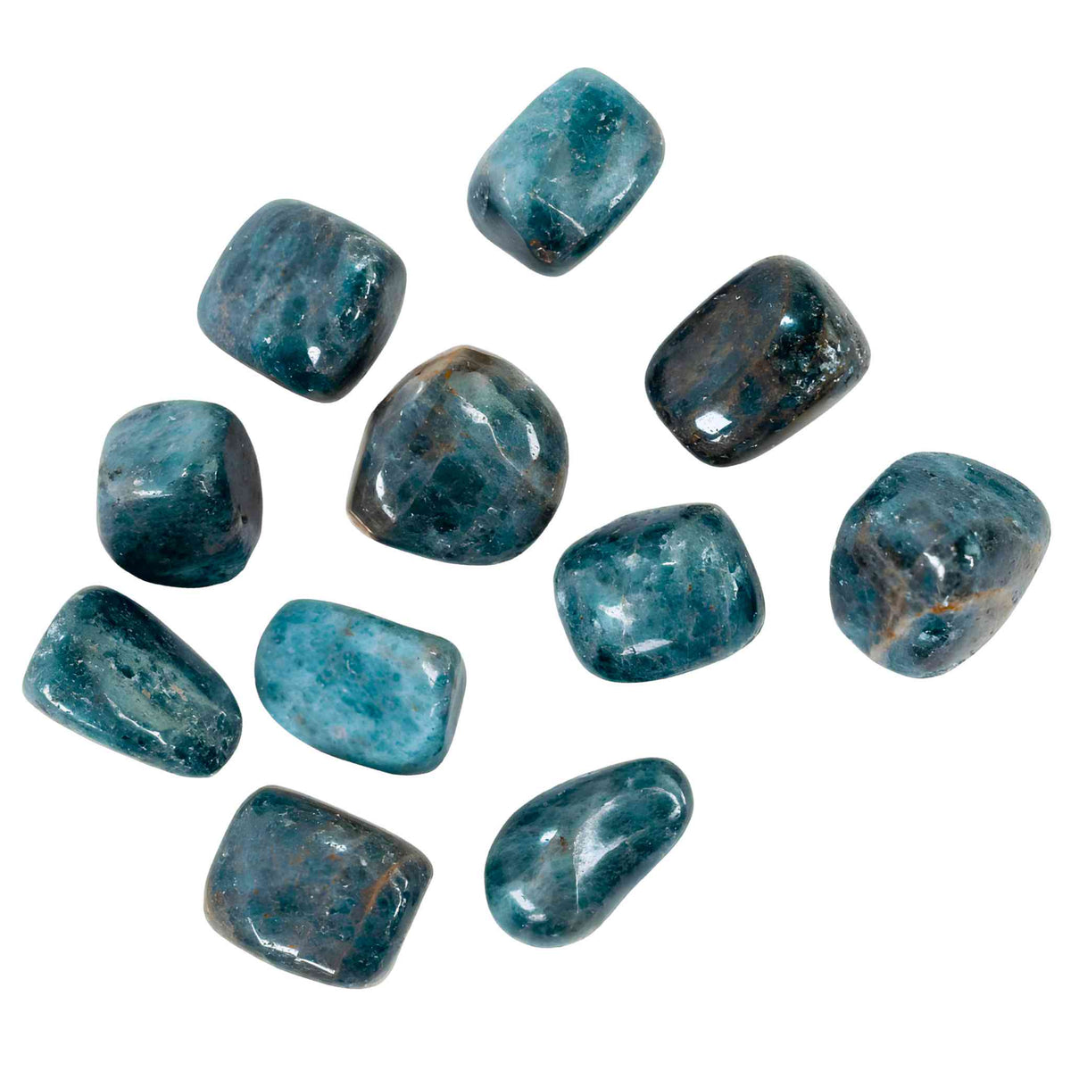 Blue Apatite Tumbled 1lb | Crystals | Wiccan Center