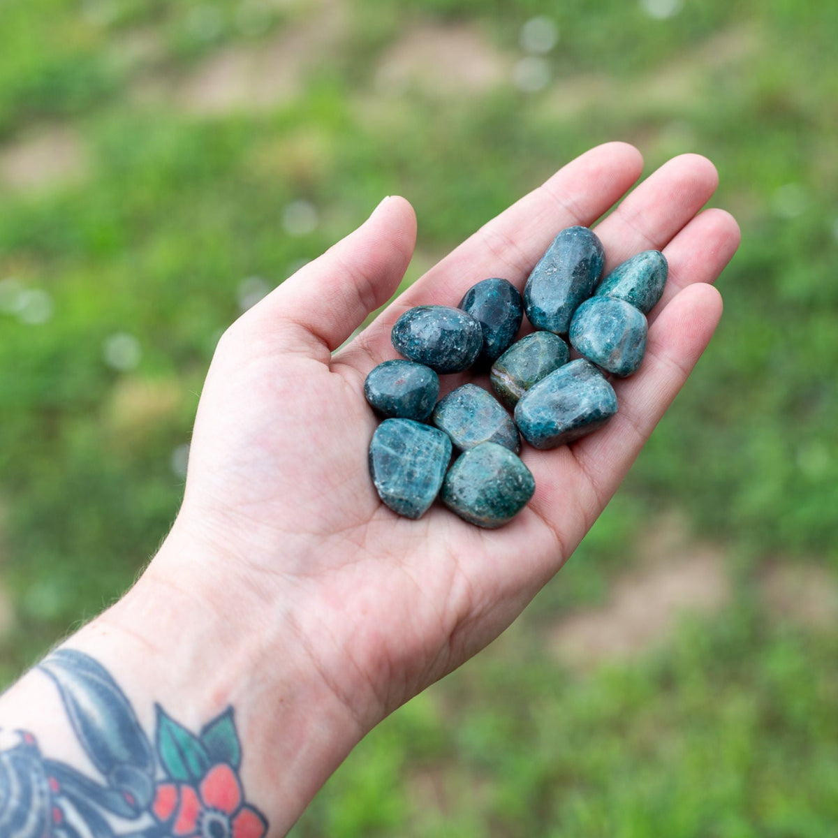 Blue Apatite Tumbled 1lb | Crystals | Wiccan Center
