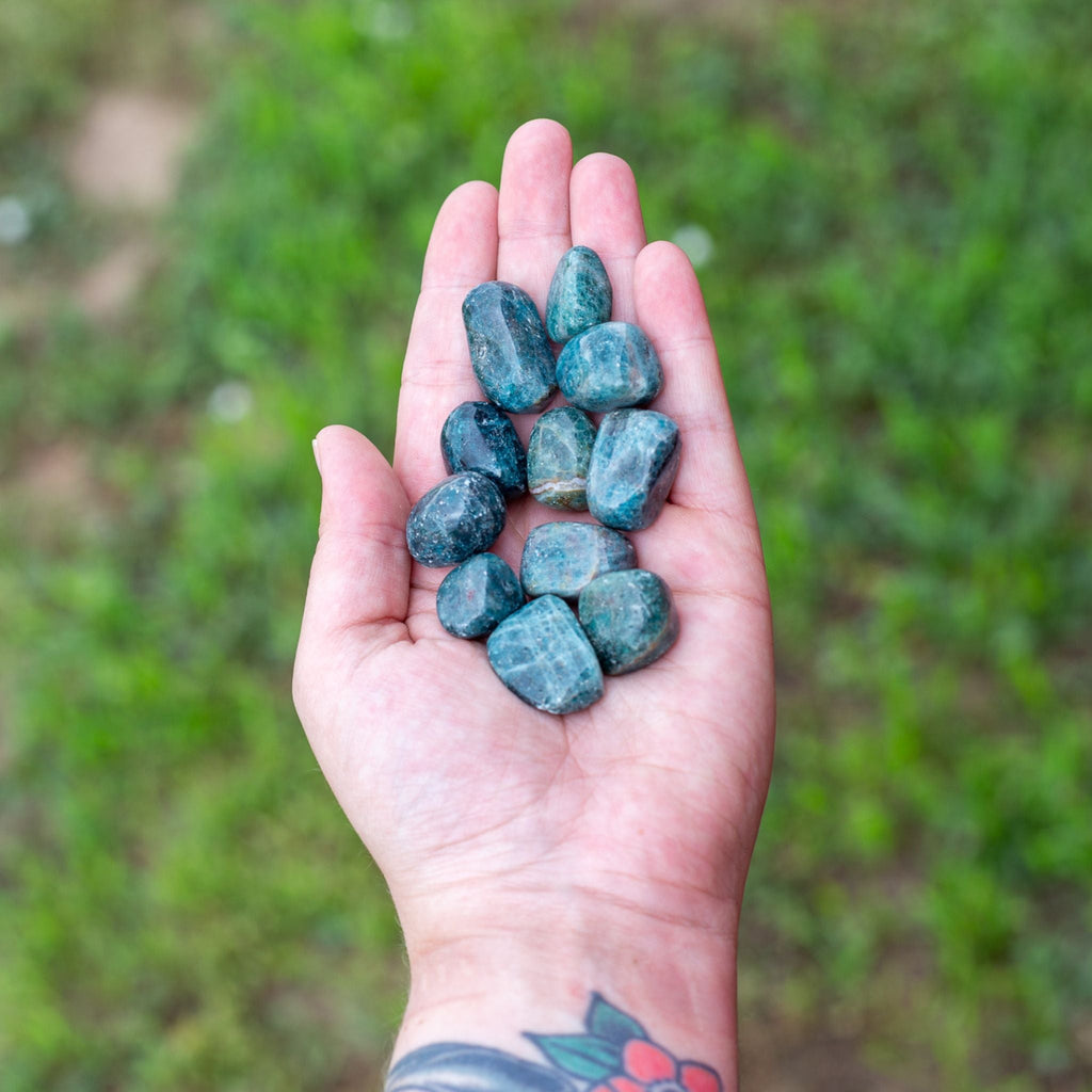 Blue Apatite Tumbled 1lb | Crystals | Wiccan Center