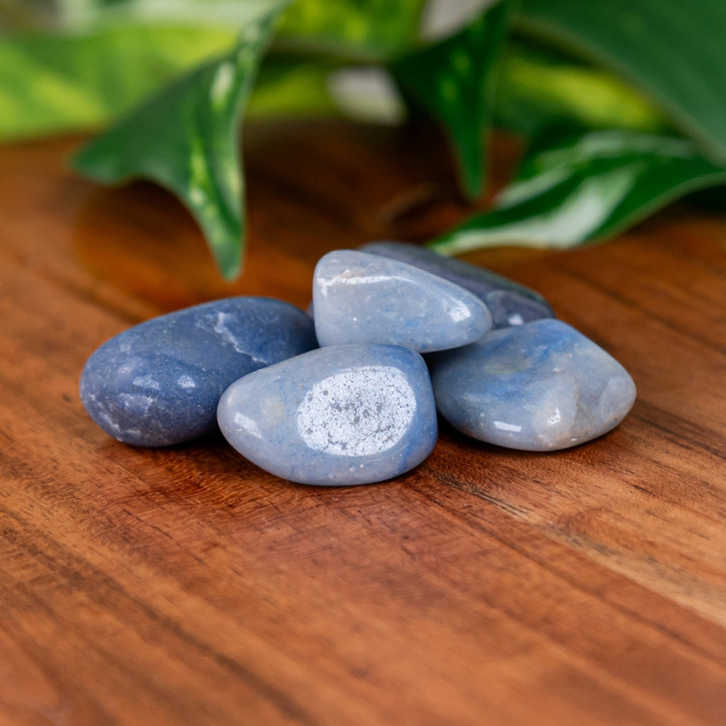 Blue Quartz Tumbled 1lb | Rocks & Fossils | Wiccan Center