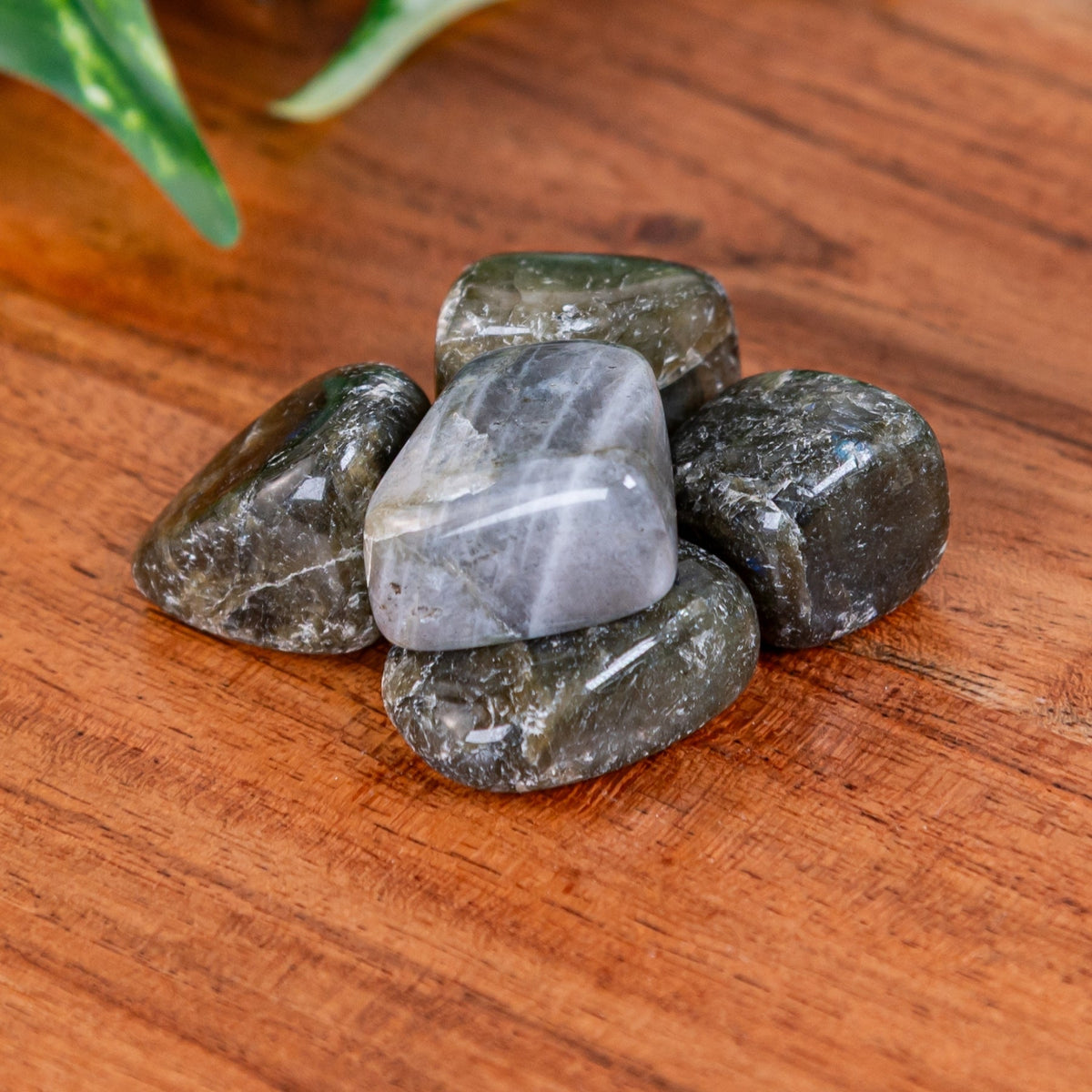 Labradorite Tumbled