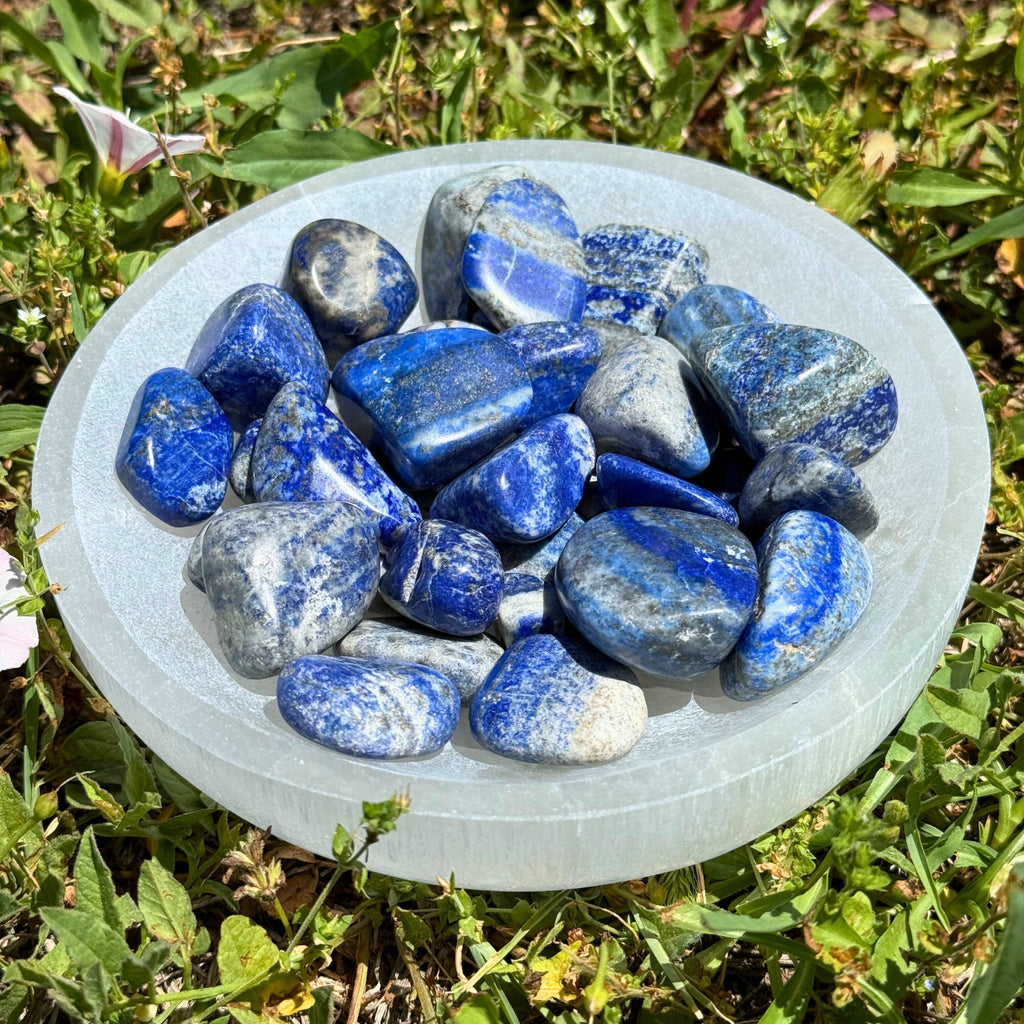 Lapis Lazuli Tumbled 1lb