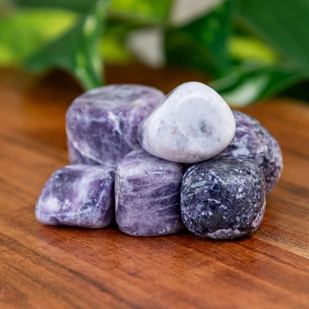 Lepidolite Tumbled | | Wiccan Center