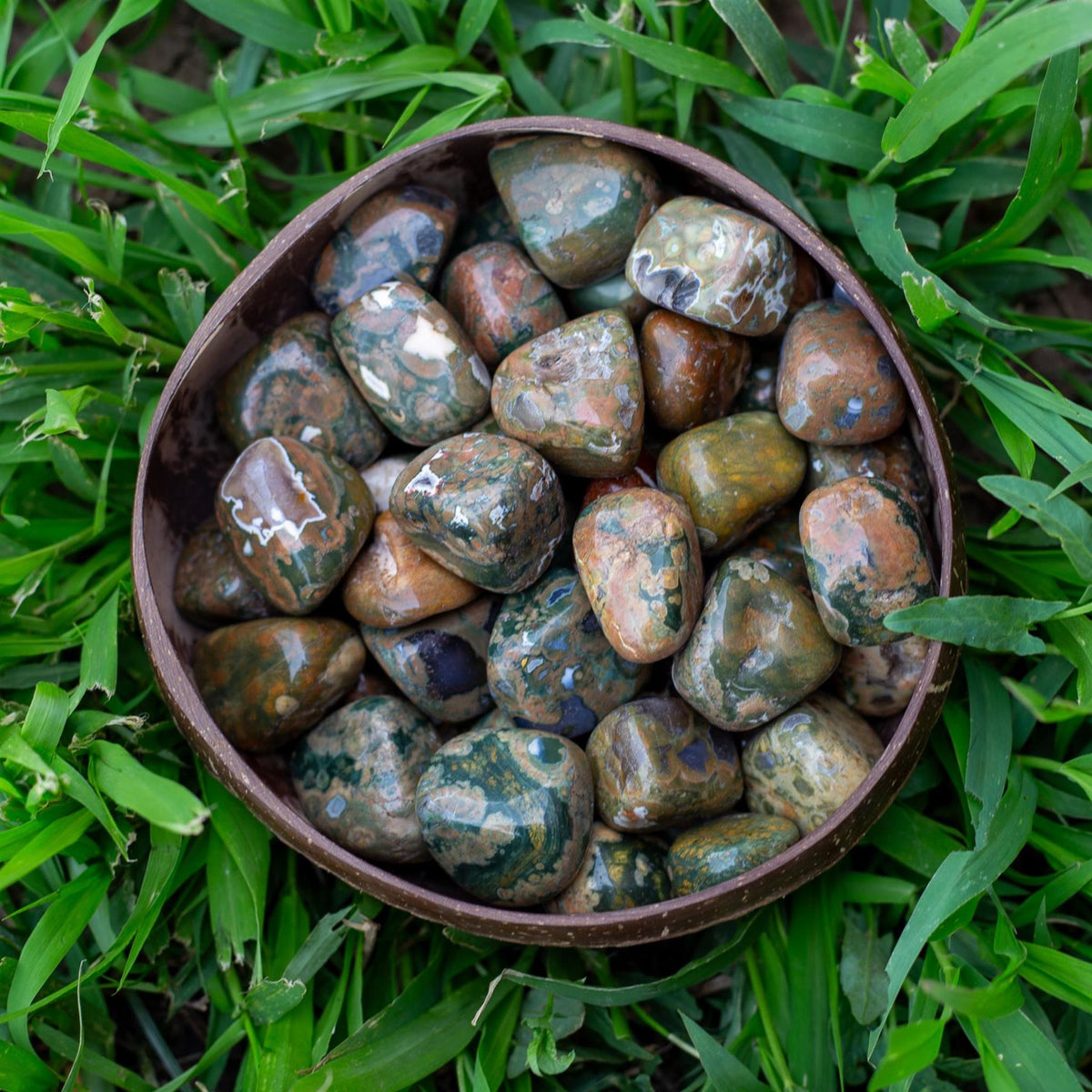 Rhyolite Tumbled 1lb