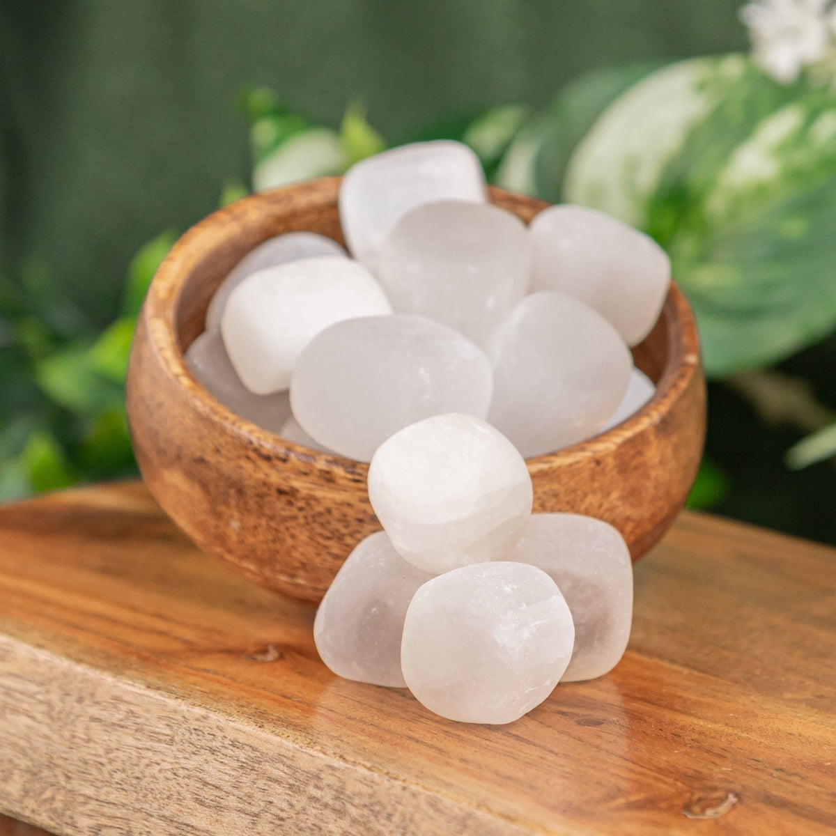 Selenite Tumbled 1lb | Religious Items | Wiccan Center