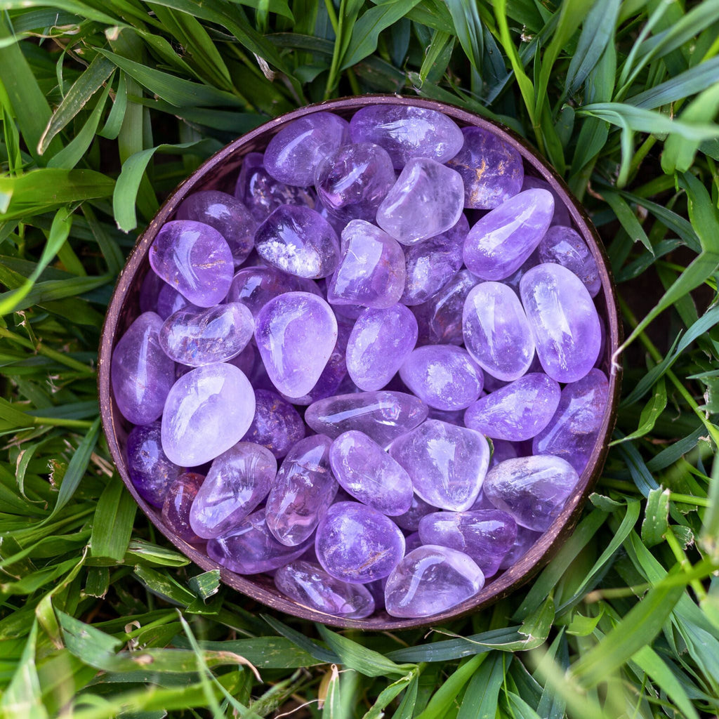 Amethyst Maraba Tumbled 1lb | Religious Items | Wiccan Center