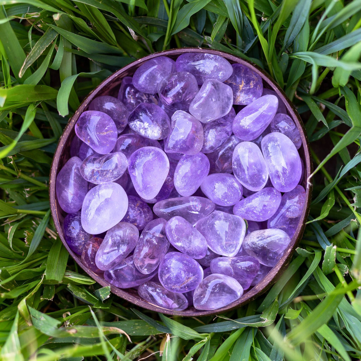 Amethyst Maraba Tumbled 1lb